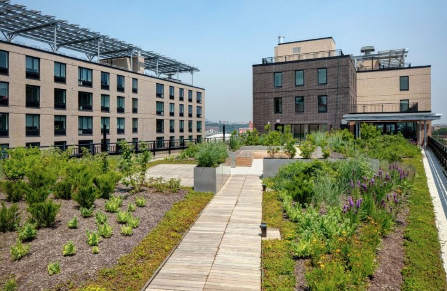 Mixed-Income Multi-Family Rental in the South Bronx - RF Solutions