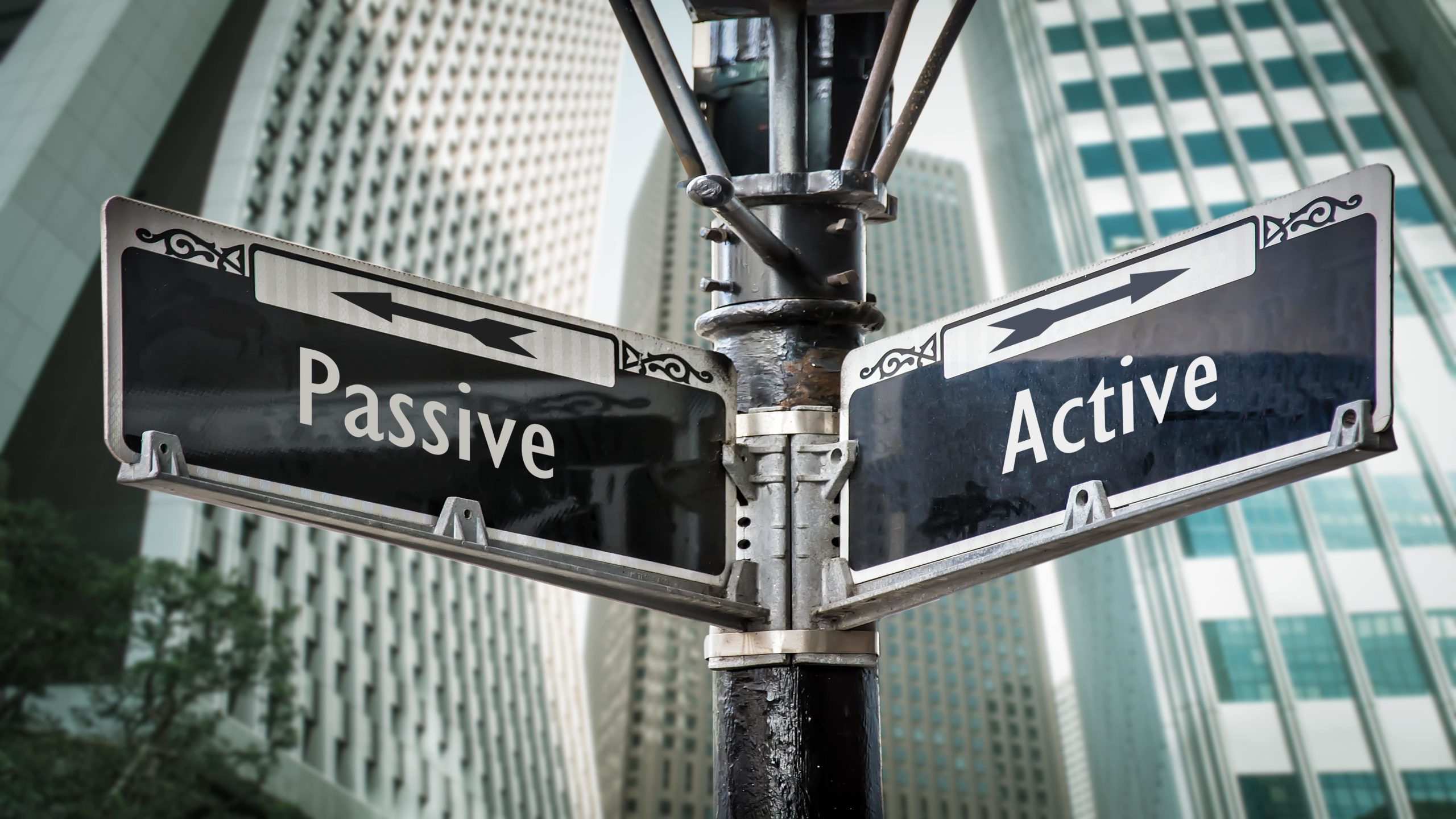 meaning of active and passive